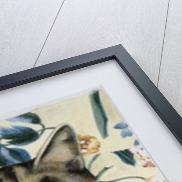 Tabby cat by Anne Robinson