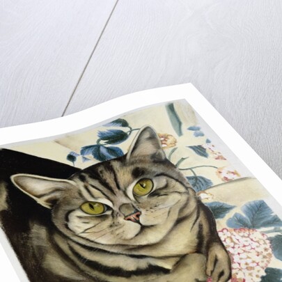 Tabby cat by Anne Robinson