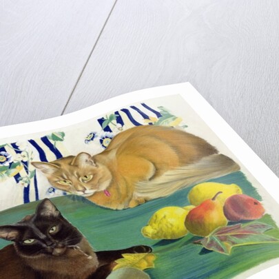 Cats with fruit by Anne Robinson