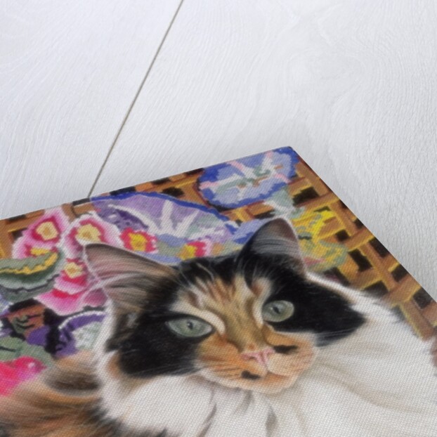 Cleo by Anne Robinson