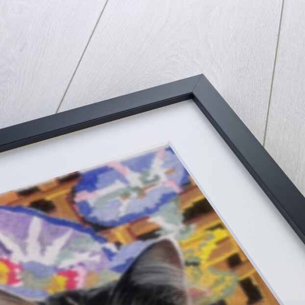 Cleo by Anne Robinson