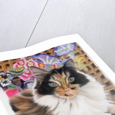 Cleo by Anne Robinson