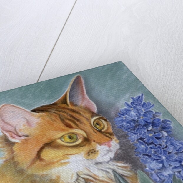 Tosca by Anne Robinson