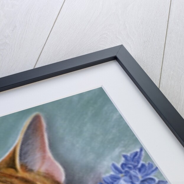 Tosca by Anne Robinson