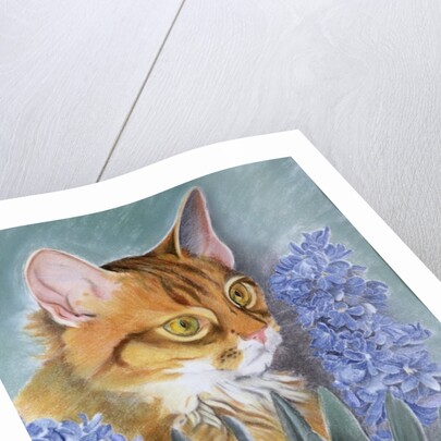 Tosca by Anne Robinson