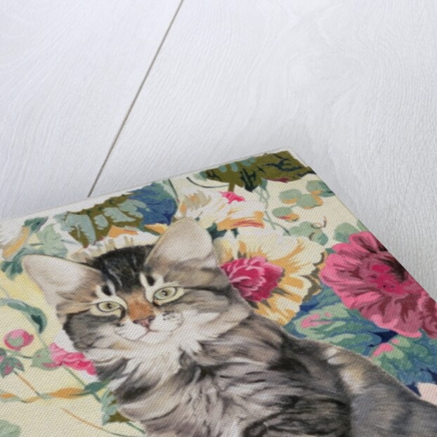 Sitting pretty by Anne Robinson