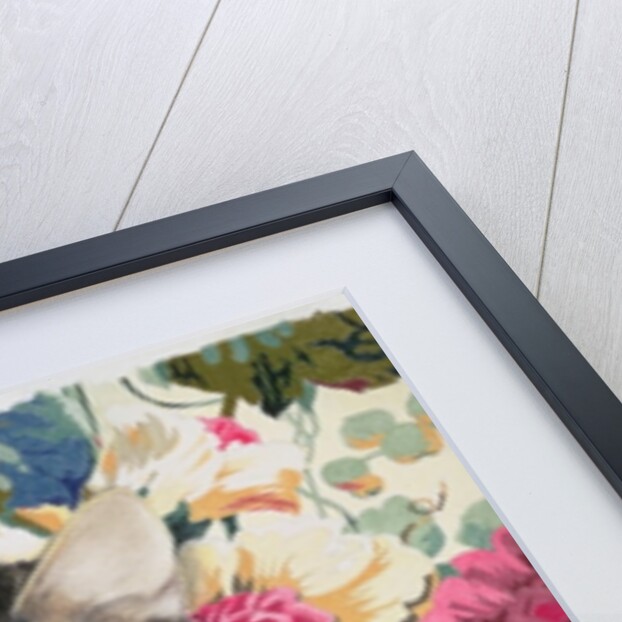 Sitting pretty by Anne Robinson