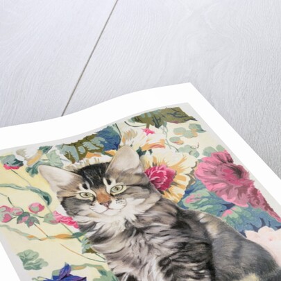 Sitting pretty by Anne Robinson