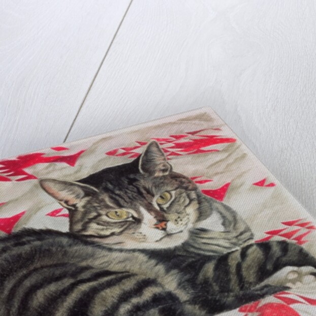 Cat on quilt by Anne Robinson