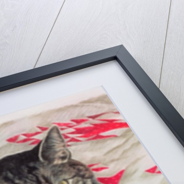 Cat on quilt by Anne Robinson