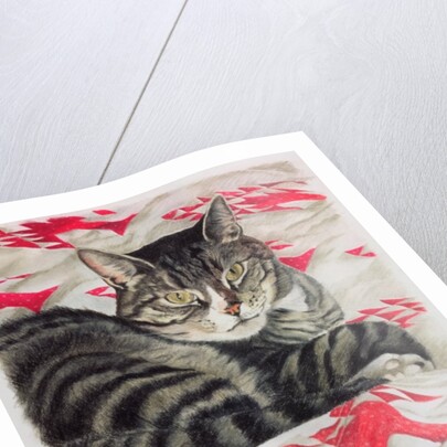 Cat on quilt by Anne Robinson