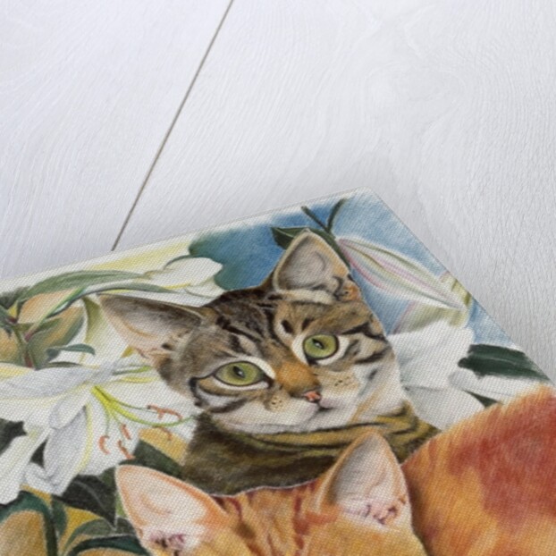 Pepper and Salt by Anne Robinson