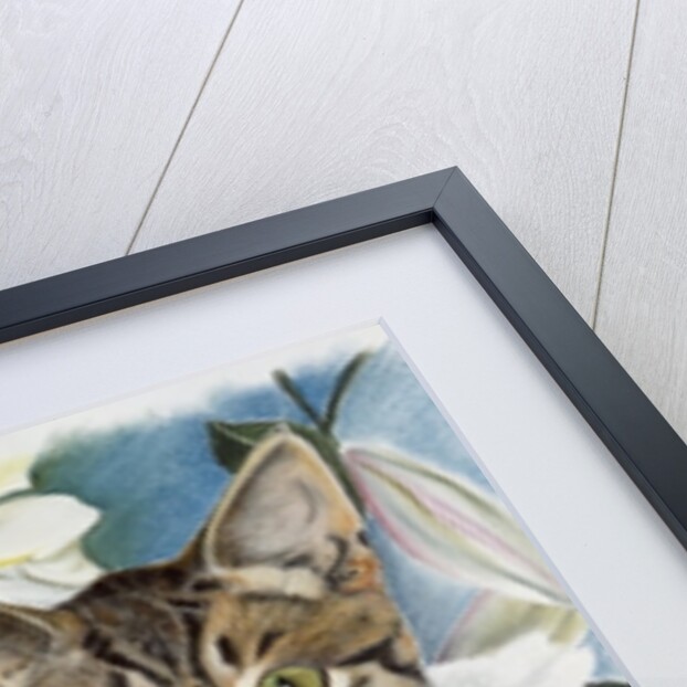 Pepper and Salt by Anne Robinson