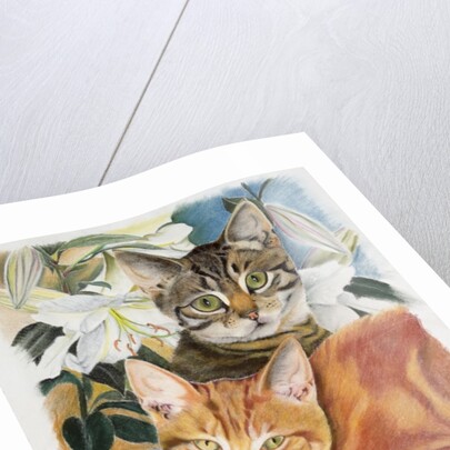 Pepper and Salt by Anne Robinson