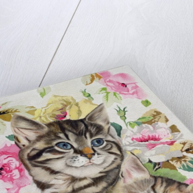 Two kittens by Anne Robinson