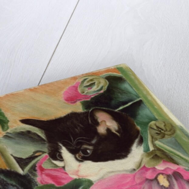 Kitten and hollyhocks by Anne Robinson