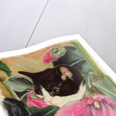 Kitten and hollyhocks by Anne Robinson