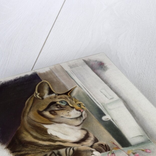 Stripy at the window by Anne Robinson