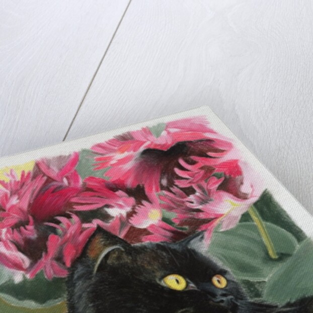 Black tulips by Anne Robinson