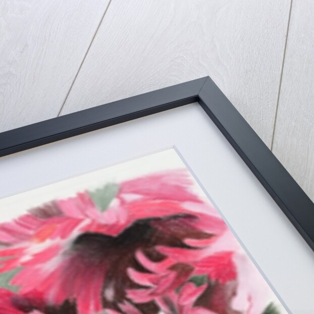 Black tulips by Anne Robinson