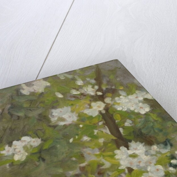 White Blossom by Henry Scott Tuke