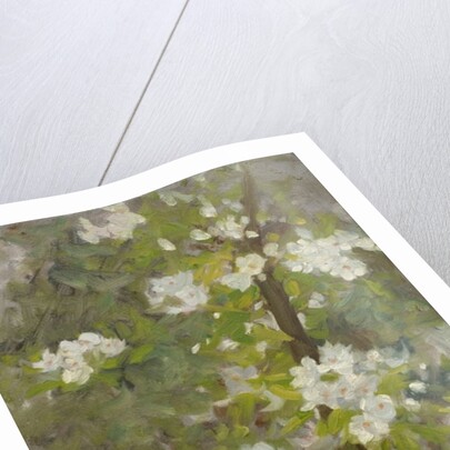 White Blossom by Henry Scott Tuke