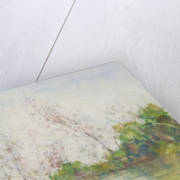 Mangrove Swamp, 1924 by Henry Scott Tuke