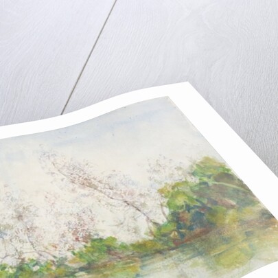 Mangrove Swamp, 1924 by Henry Scott Tuke