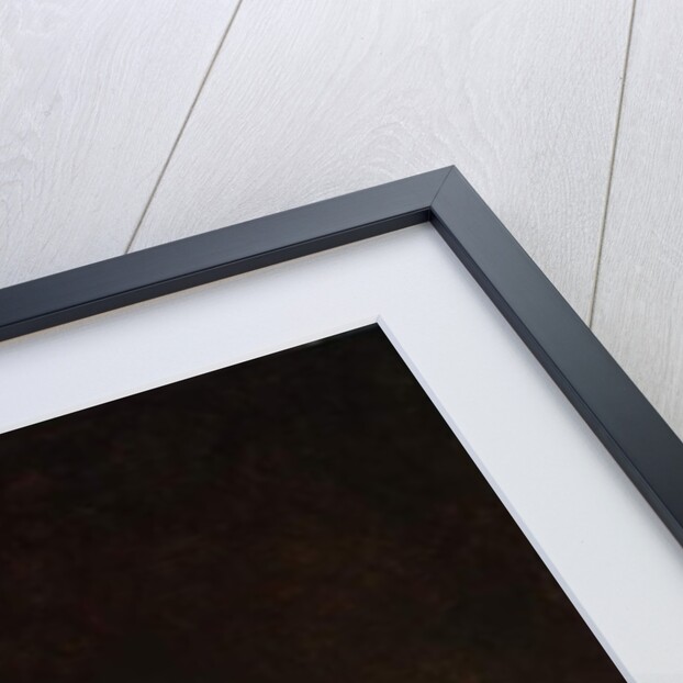 Scholar at his Writing Table, 1641 by Rembrandt Harmensz. van Rijn