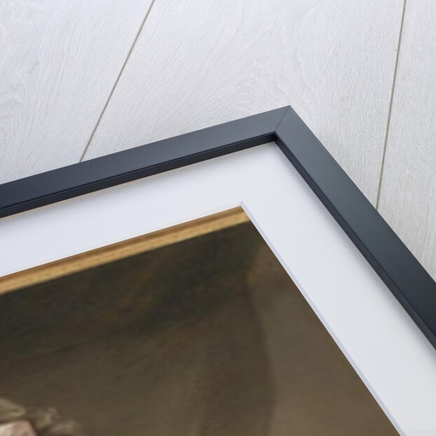 Countess Franciszka Rzewuska, née Cetner, c.1780 by Marcello Bacciarelli