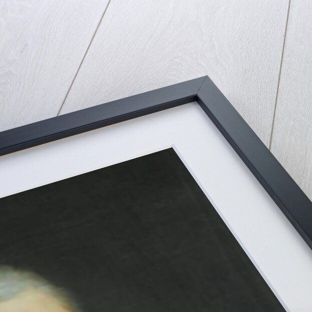 Count Kazimierz Rzewuski, 1806 by Andrea the Elder Appiani