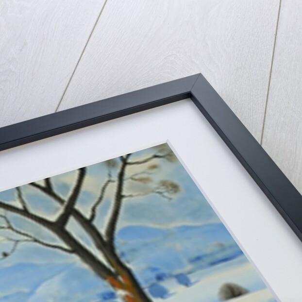 Winters Walk, 2005 by Radi Nedelchev