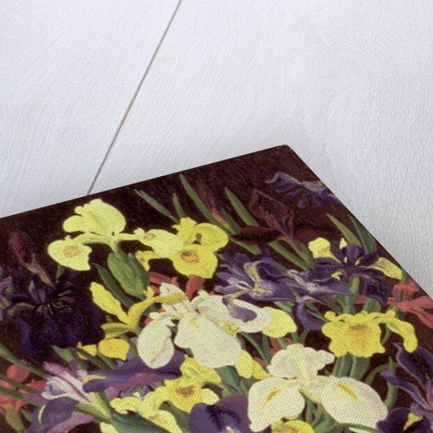 Group of Irises, c.1940 by Cedric Morris