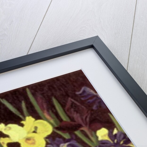 Group of Irises, c.1940 by Cedric Morris