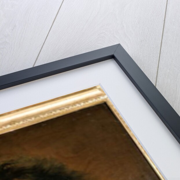 Raymond Finot Doctor of Louis XIV. Painting by Jean Jouvenet, Paris Louvre Museum. by Anonymous