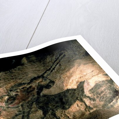 Rock painting of a horned animal, c.17000 BC by Prehistoric Prehistoric