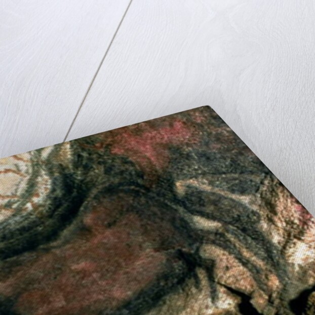 Rock painting of a black bull, c.17000 BC by Prehistoric Prehistoric