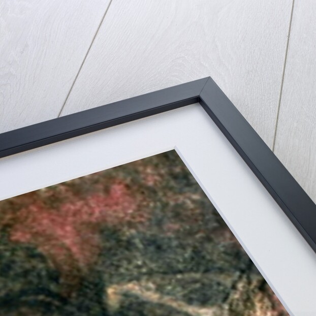 Rock painting of a black bull, c.17000 BC by Prehistoric Prehistoric