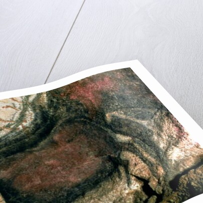 Rock painting of a black bull, c.17000 BC by Prehistoric Prehistoric