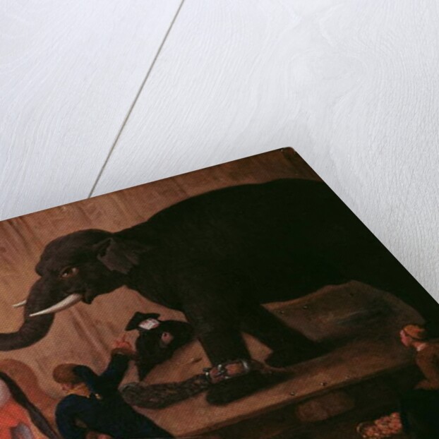 An Elephant Shown in Venice by Pietro Longhi