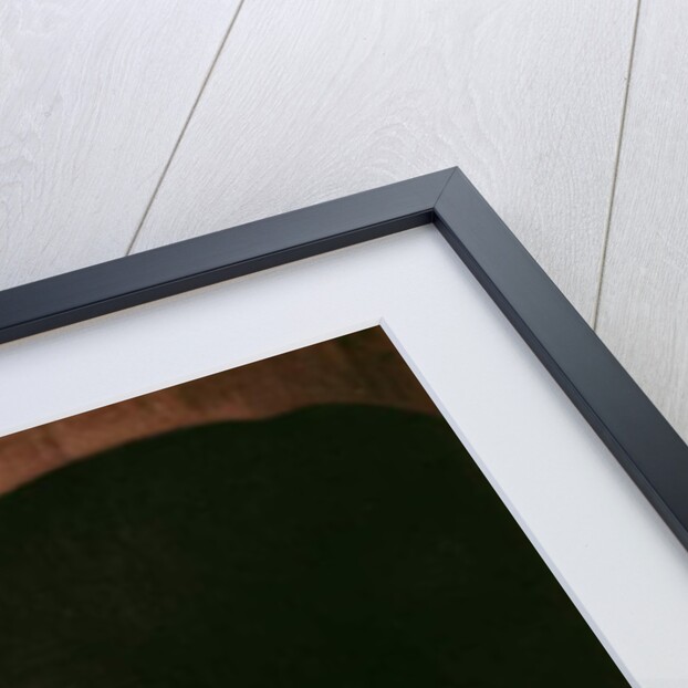 An Elephant Shown in Venice by Pietro Longhi