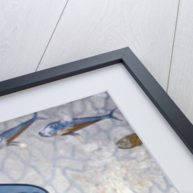 Dolphins by Greek Greek