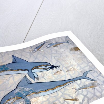 Dolphins by Greek Greek