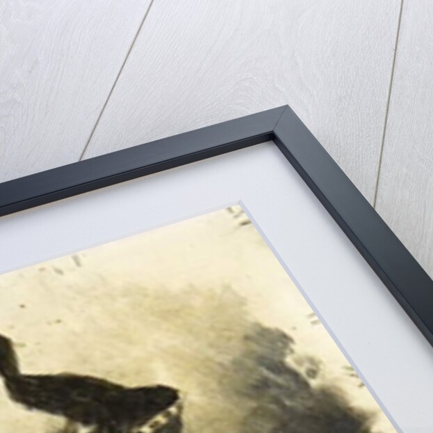 Ancient battle scene, c.1880 by Georges Marie Rochegrosse