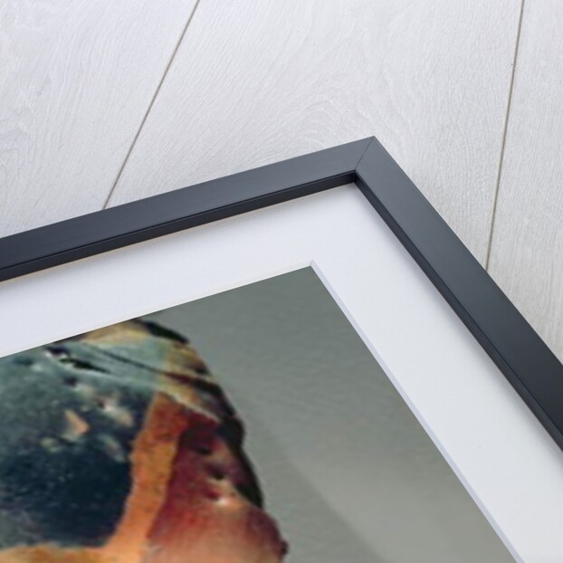 Mask of a Pascola dancer by School Mexican