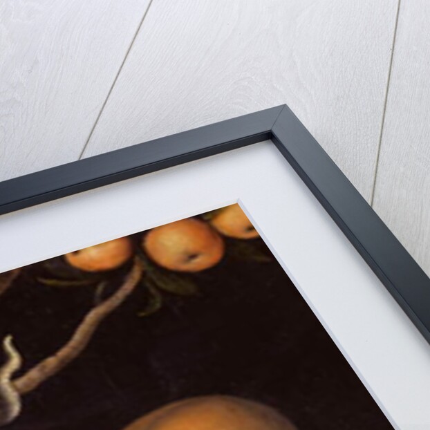 Eve offering the apple to Adam in the Garden of Eden and the serpent, c.1520-25 by Lucas the Elder Cranach