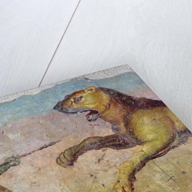 A Gladiator Fighting a Lion by Roman