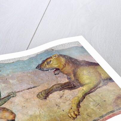 A Gladiator Fighting a Lion by Roman