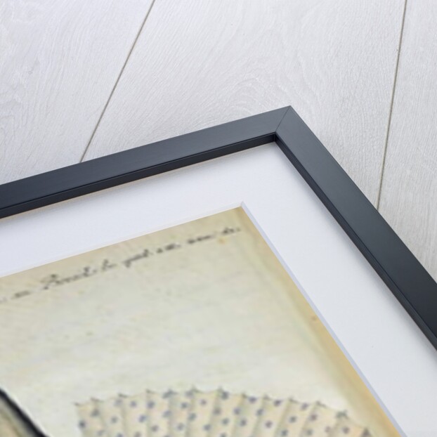 Fish found at Ilha Grande, Brazil by French School