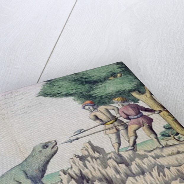 Sea Lion near the Strait of Magellan by French School